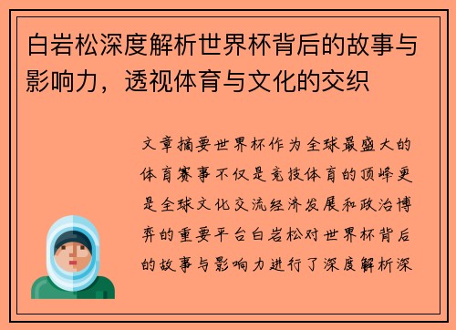 白岩松深度解析世界杯背后的故事与影响力，透视体育与文化的交织