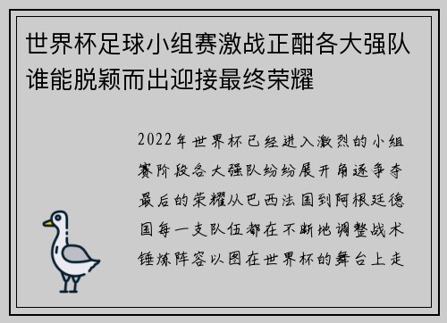 世界杯足球小组赛激战正酣各大强队谁能脱颖而出迎接最终荣耀